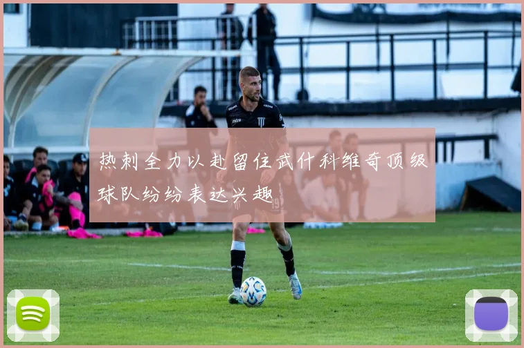 热刺全力以赴留住武什科维奇顶级球队纷纷表达兴趣